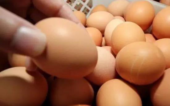 蛋鸡淘汰情况