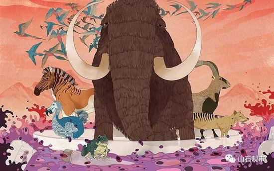 曹山石点评独角兽基金:CDR不会高位接美股回