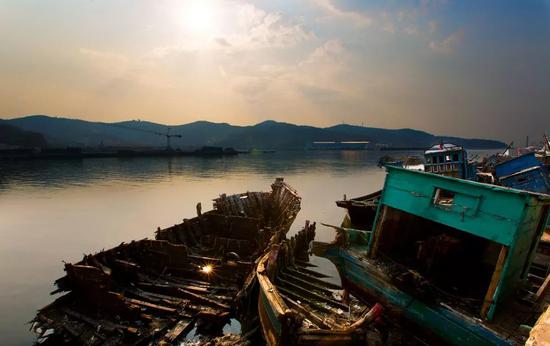 扇贝东南飞 獐子岛7个月股价下跌52%市值蒸发