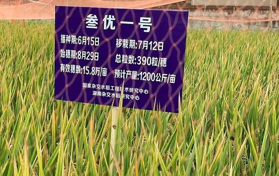 百万大奖娱乐·主力资金动向 10亿元潜入食品饮料业