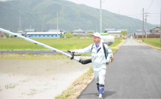 普遍“女不外嫁”