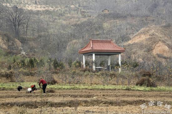 图为潘家祖坟，2014年迁入此地。摄于2017年12月2日 图片来自天水在线