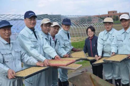 华西村的年轻人们:普遍女不外嫁 开着豪车去村企上班