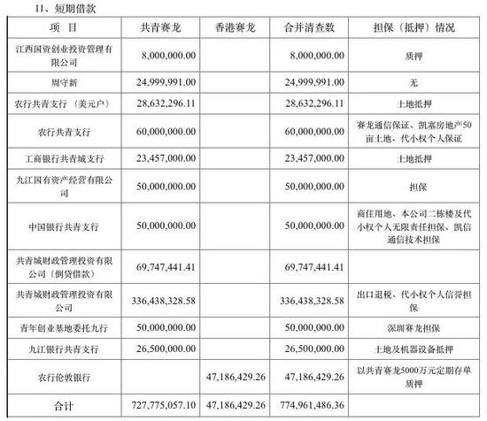 上图为共青赛龙借款明细