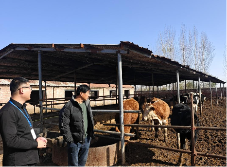 （分期乐普惠线下服务人员走访养殖场）