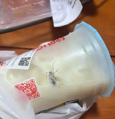 “秋奶”出现蟑螂？ 蜜雪冰城道歉！