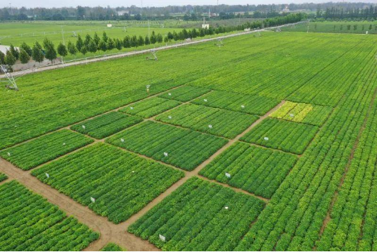 助力产业再升级——花生期货研讨会成功举办