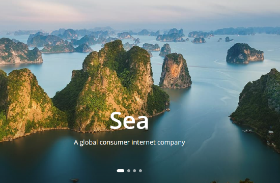 SEA第三季度财报公布意外亏损，股价暴跌