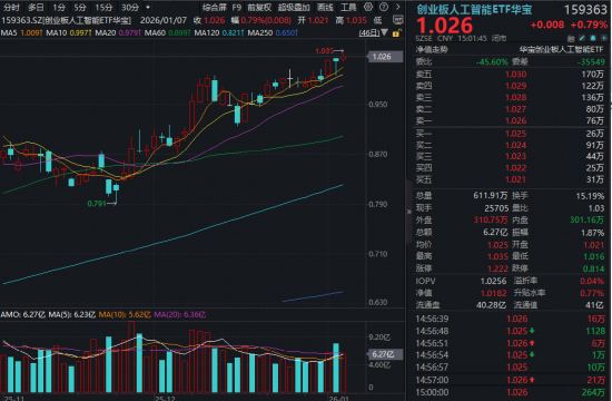 光模块CPO龙头反弹，创业板人工智能再创新高！DeepSeek旗舰系统R2春节问世，AI应用大年启动？