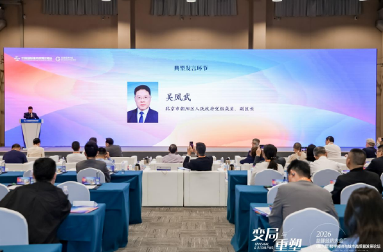 吴凤武：发挥多维开放优势，建设国际化总部经济集聚标杆城区