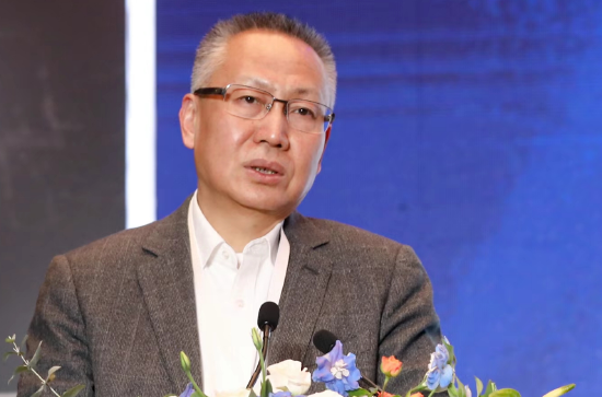 张健华：随着数字技术的发展、数字金融服务能力的提升 不良资产的问题需要重点关注