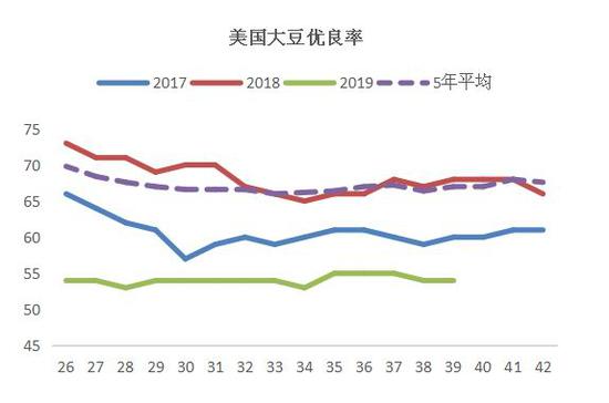 「金鼎国际91平」新买的杜鹃花应该怎么养?巧记两个要点,别怕养不好!