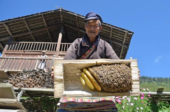 四川平武熊猫部落养蜂人蜂蜜成熟了。天猫双11当天，阿里巴巴全平台农产品交易额超过45亿元，数字化赋能沉淀出电商脱贫新模式。