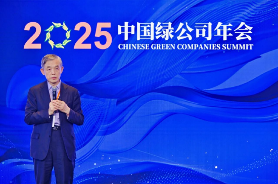 薛澜：AI安全的全球治理