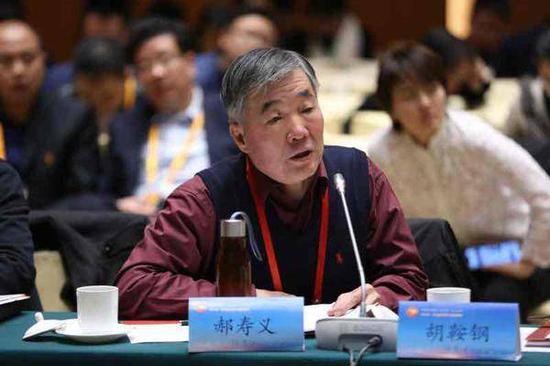 南开大学校学术委员会委员、教授郝寿义发言。