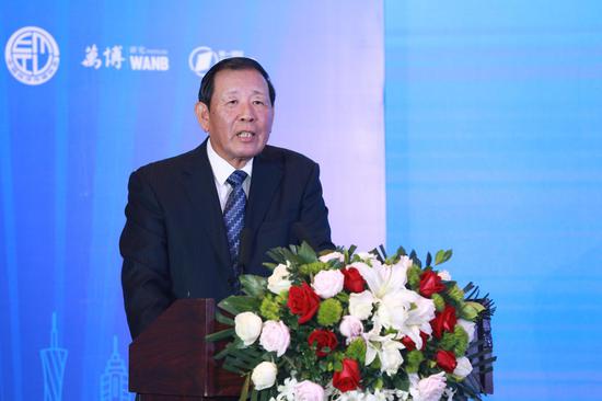 中国战略文化促进会常务副会长罗援
