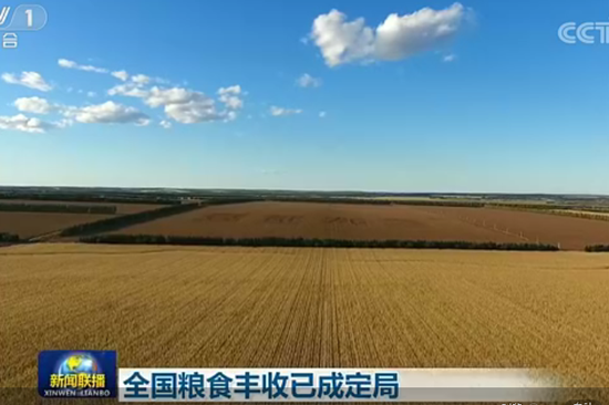 大赢家开户网址|这只肥柴不仅自己胖,还不怀好意的把另外两只也传染了!