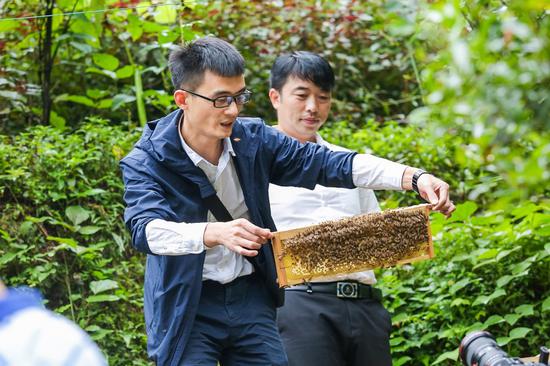 【图说】阿里巴巴驻湖南城步“乡村振兴特派员”刘寒在向老乡介绍AI智能养蜂。