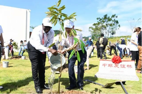 远洋集团亮相第二届中非农业合作论坛 中外嘉宾考察国家级田园综合体