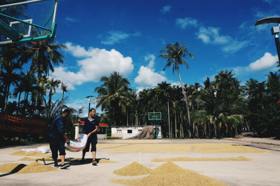 ▲大茅远洋生态村