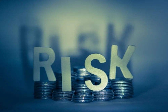 孙天琦：关于金融风险“早识别、早预警、早发现、早处置”的思考