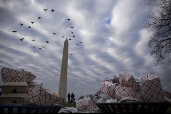 華盛頓紀念碑旁附近無人清理的垃圾桶