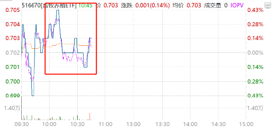 生猪未动，“粮草”先行？川金诺20CM涨停，播恩集团二连板！畜牧养殖ETF（516670）盘中持续溢价