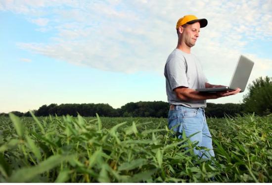 那些进不来中国的大豆 美国竟要逼这个国家 吞