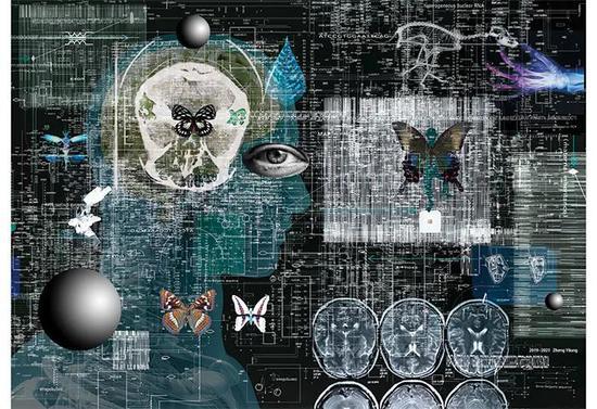 via&nbsp;《电子生物系列》-郑龙