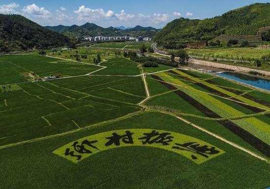 陈锡文：在乡村振兴中实现农村农民的共同富裕