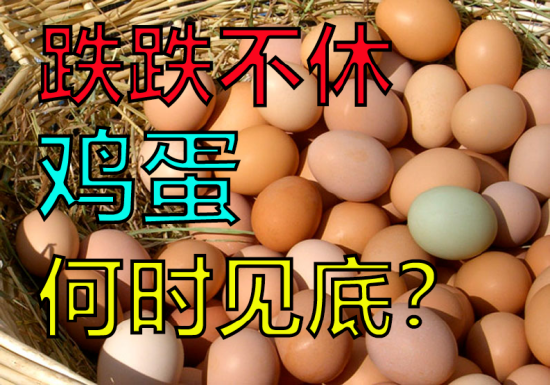 【中粮视点】鸡蛋：跌跌不休，何时见底？