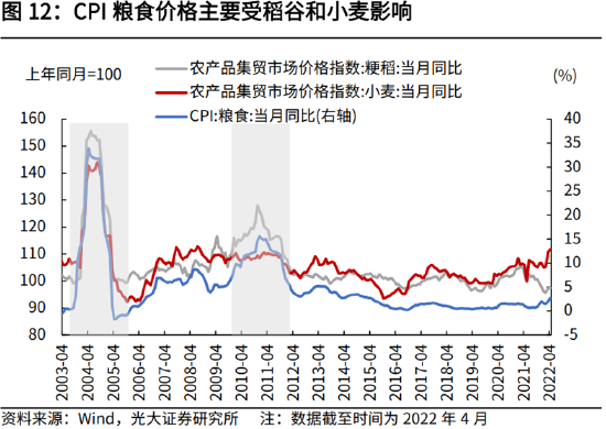 高瑞东:全球粮价高涨,国内通胀能否稳住?