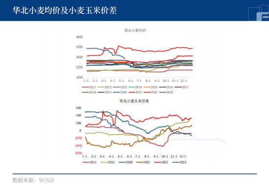 中粮期货:玉米至暗时刻,抄底需谨慎