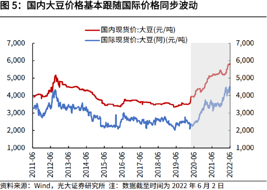 高瑞东:全球粮价高涨,国内通胀能否稳住?