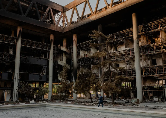 抖音自助下单平台,最高价揭秘?