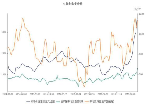 盛世国际客户端官网,孙杨东京奥运又一劲敌!24岁名将豪取5连冠,世锦赛就曾“输”他