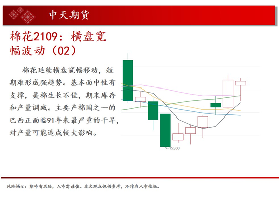 中天钱多多6月7日市场观察