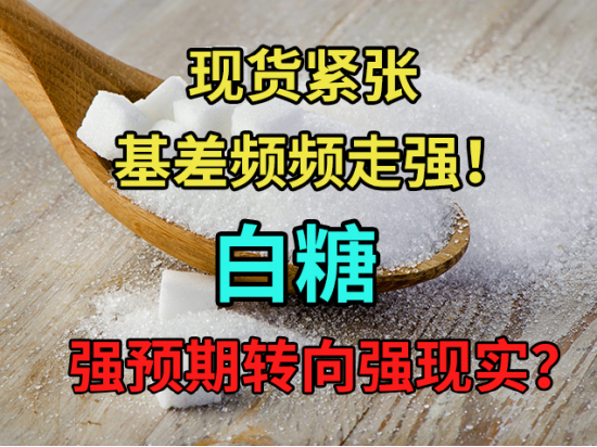 中粮期货：现货紧张，基差频频走强！白糖强预期转向强现实？