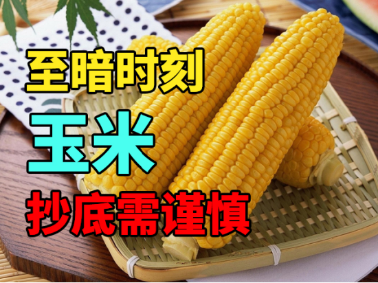中粮期货:玉米至暗时刻,抄底需谨慎