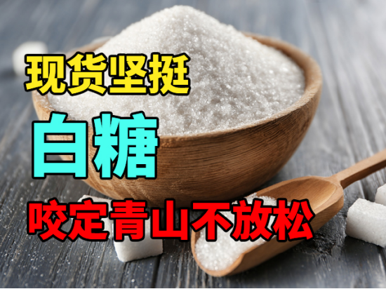 中粮期货:白糖现货坚挺,咬定青山不放松