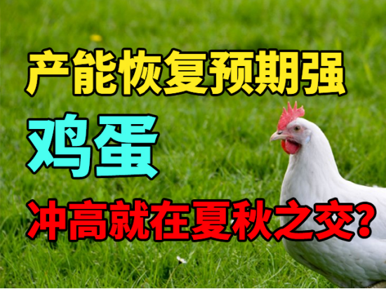 鸡蛋：产能恢复预期强，冲高就在夏秋之交？