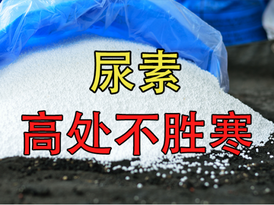 【中粮视点】尿素：高处不胜寒