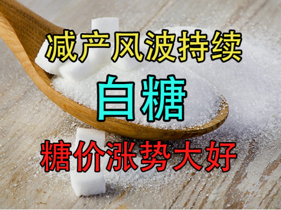 白糖：减产风波持续，糖价涨势大好