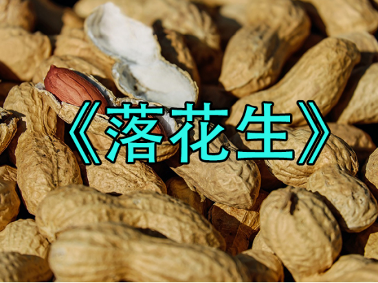 【中粮视点】花生：《落花生》