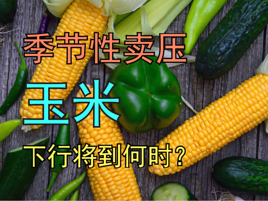 季节性卖压来袭，玉米下行将到何时？