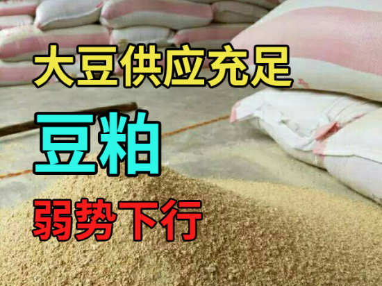 大豆供应充足，豆粕弱势下行