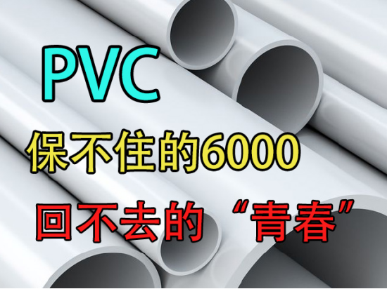 【中粮视点】PVC：保不住的6000回不去的“青春”回不去的"青春"【中粮视点】PVC：保不住的6000回不去的“青春”,第3张