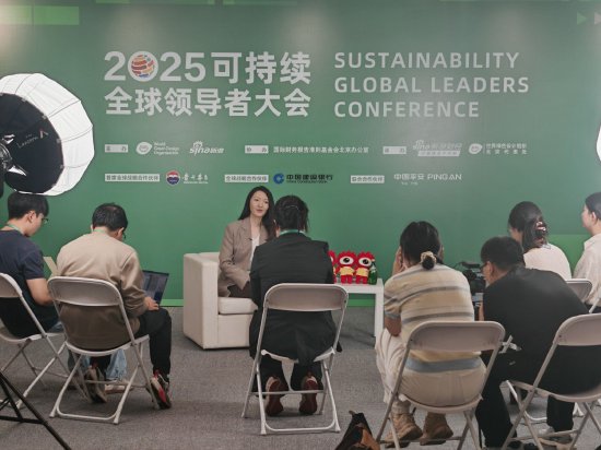 对话英利集团董事长苗青:很多新的场景出现,背后源于技术和产品的创新
