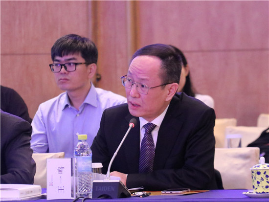 国务院发展研究中心副主任、党组成员王一鸣