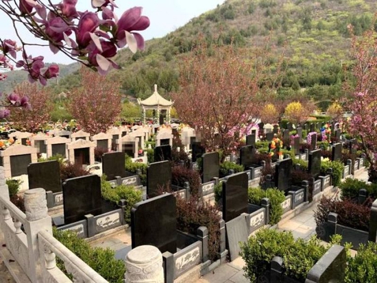 位於昌平的某處墓園,該墓園目前已經無墓地可賣。 李凱旋/攝